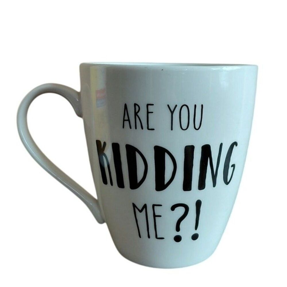 Pfaltzgraff Double-Sided "Are You KIDDING Me?" Coffee Mug